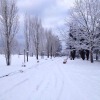 Отель Agriturismo Il Tratturo, фото 15