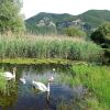 Отель New Residence Near Lake Iseo Surrounded by Green, фото 10