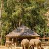Отель Safari Resort Beekse Bergen, фото 27