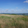 Отель Smołdziński Las, фото 17