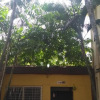 Отель Govinda lodge, фото 9