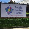 Отель Turtle Saving Hostel в Сан Педро