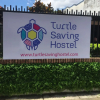 Отель Turtle Saving Hostel, фото 1