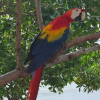 Отель Brisas del Pacifico, фото 36