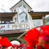 Отель Chalet Pineta, фото 1