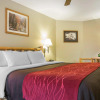 Отель Comfort Suites Billings, фото 7
