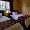 Отель Alpine Inn & Suites, фото 29