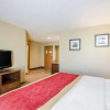 Отель Comfort Inn Lexington, фото 4