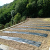 Отель Agriturismo da Ysy, фото 21