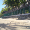 Отель The Pelicans Resort, фото 9