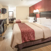 Отель Red Roof Inn Ann Arbor - U of Michigan South, фото 5
