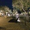 Отель agriturismo roba degli ulivi, фото 8