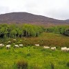 Отель Mountain View Bed & Breakfast, Kenmare, Co. Kerry, Ireland, фото 19