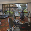 Отель Courtyard by Marriott Orlando Airport, фото 21
