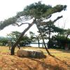 Отель Anseong M Hotel, фото 12