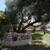 Отель Rüzgar Gülü Hotel, фото 16