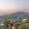 Отель Homestay with a garden in Madikeri, by GuestHouser 46098, фото 21