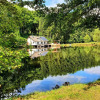 Отель Les étangs du Thioux BED & BREAKFAST, фото 20