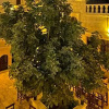 Отель Grand Aras Butik Hotel, фото 1