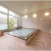 Отель Hakuchi Onsen Konishi Ryokan, фото 16