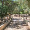 Отель Finca SON Baulo, фото 23
