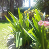 Отель La Gloria de Calvillo, фото 12