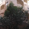 Отель RAWDA - Enjoy the privacy of staying in a quiet apartment with free Wi-Fi as your complete second ho, фото 11
