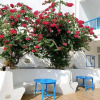 Отель Blue Anchor Lodge & Cafe-Binh Ba Island, фото 9