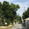 Отель Sesoko Island Guest House Kafuu Village, фото 18