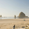 Отель Arch Cape Inn and Retreat - Cannon Beach, фото 16