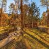 Отель River Bend Lodge - Five Bedroom Cabin, фото 1