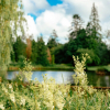 Отель Gatton Manor Hotel and Golf Club, фото 1
