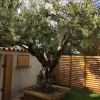 Отель B&B Aux Delices de l'Olivier, фото 5