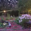 Отель Garden and Sea Inn, фото 8