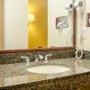 Отель Quality Inn & Suites, фото 16