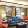 Отель Comfort Inn & Suites, фото 23