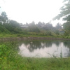 Отель REVIVE Puncak Grand Smesco Hills Edufarm, фото 25