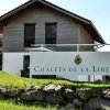 Отель Chalets De La Liberte Haus Garten, фото 21
