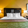 Отель Comfort Inn Warner Robins, фото 4