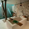 Отель Japoneza Retreat Merida Centro, фото 12