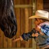 Отель El Bronco Working Ranch, фото 27