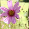 Отель Cosmos Cuisine Addo, фото 23