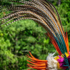 Отель Caiman Eco Lodge, фото 27