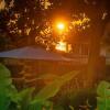 Отель Cycad Entebbe Guest House, фото 16