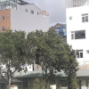Отель Hostel Hoa Phu, фото 1