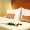 Отель Grandhotel Brno, фото 3
