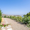 Отель Villa Olivia, фото 31
