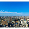 Отель Osaka Bay Plaza Hotel, фото 20