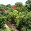 Отель Kim Lien Guest House, фото 9