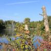 Отель Salinensee, фото 10